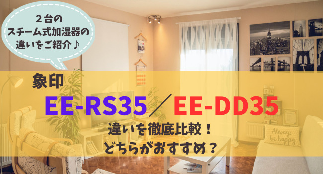 EE-RS35とEE-DD35の違いを比較！どっちがオススメ？